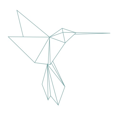 thème origami : Colibri